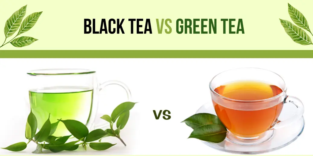 Black Tea vs Green Tea – Comparing Health Benefits, Unique Flavor Profiles, and Antioxidant Levels